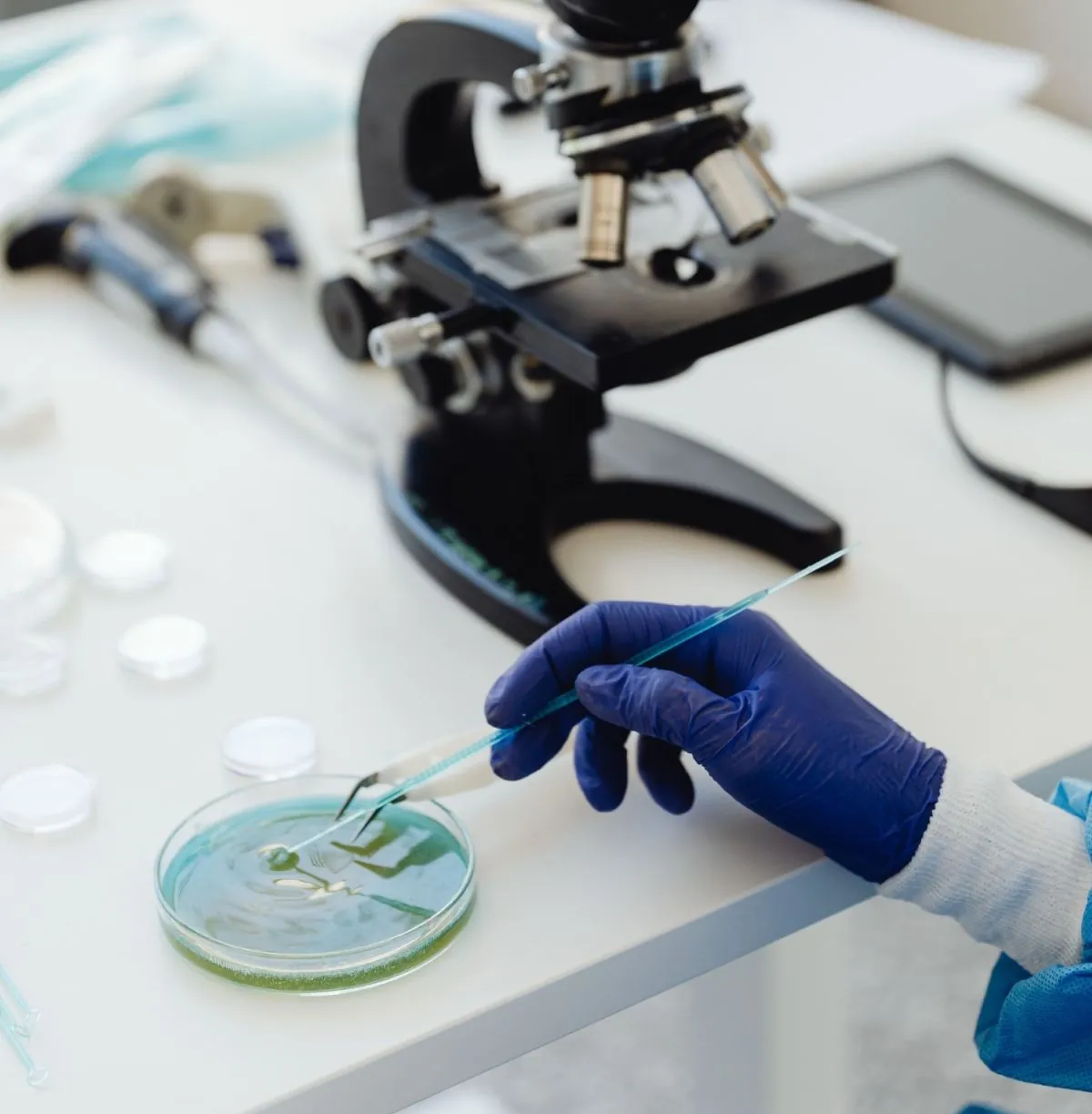 Una muestra de laboratorio y un microscopio